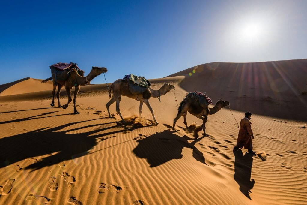 Morocco desert 